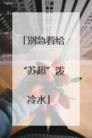 别急着给“苏超”泼冷水