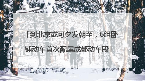 到北京或可夕发朝至，6组卧铺动车首次配属成都动车段
