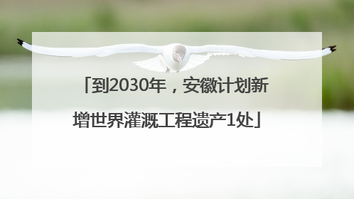 到2030年，安徽计划新增世界灌溉工程遗产1处
