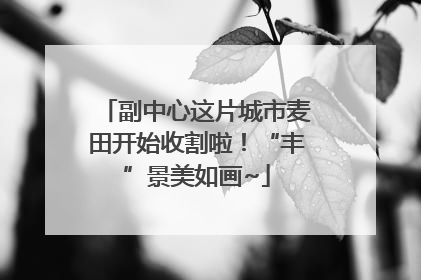 副中心这片城市麦田开始收割啦！“丰”景美如画~