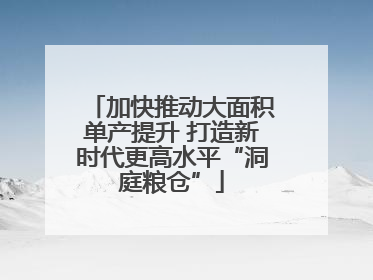 加快推动大面积单产提升 打造新时代更高水平“洞庭粮仓”