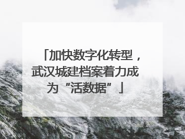 加快数字化转型，武汉城建档案着力成为“活数据”