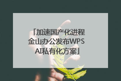 加速国产化进程 金山办公发布WPS AI私有化方案