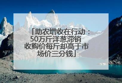 助农增收在行动：50万斤洋葱滞销 收购价每斤却高于市场价三分钱