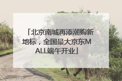 北京南城再添潮购新地标，全国最大京东MALL端午开业
