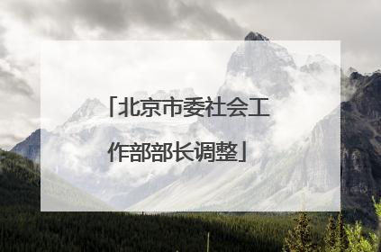 北京市委社会工作部部长调整