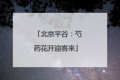 北京平谷：芍药花开迎客来