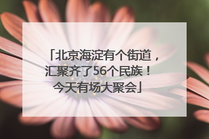 北京海淀有个街道，汇聚齐了56个民族！今天有场大聚会