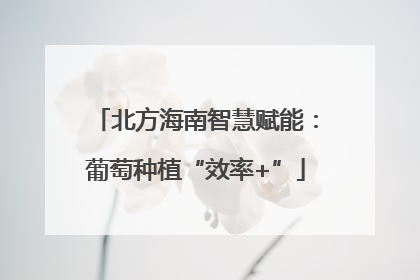 北方海南智慧赋能：葡萄种植“效率+”