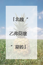 北魏“乙弗莫瓌”墓砖