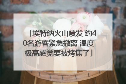 埃特纳火山喷发 约40名游客紧急撤离 温度极高感觉要被烤焦了