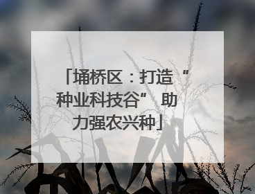 埇桥区：打造“种业科技谷” 助力强农兴种