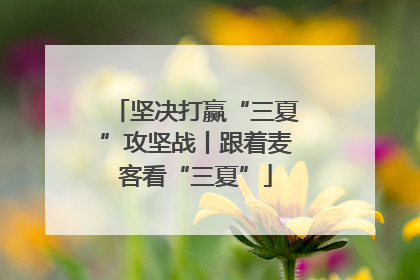 坚决打赢“三夏”攻坚战丨跟着麦客看“三夏”