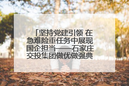 坚持党建引领 在急难险重任务中展现国企担当——石家庄交投集团做优做强典型报道之一