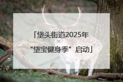 垡头街道2025年“垡宝健身季”启动