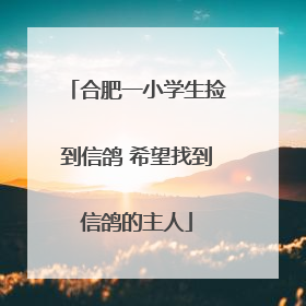 合肥一小学生捡到信鸽 希望找到信鸽的主人