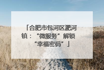 合肥市包河区淝河镇：“微服务”解锁“幸福密码”