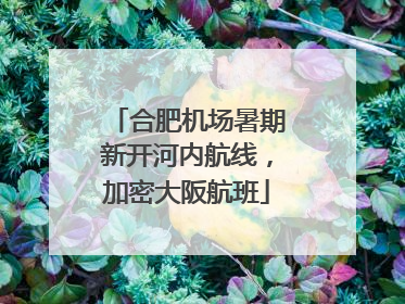 合肥机场暑期新开河内航线，加密大阪航班