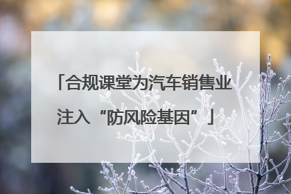 合规课堂为汽车销售业注入“防风险基因”