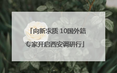 向新求质 10国外籍专家开启西安调研行