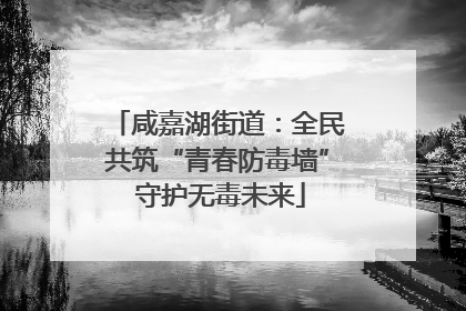 咸嘉湖街道：全民共筑“青春防毒墙” 守护无毒未来