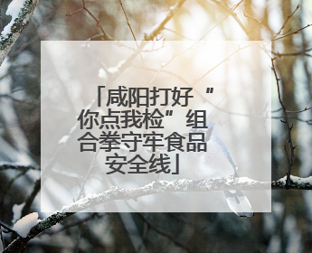 咸阳打好“你点我检”组合拳守牢食品安全线