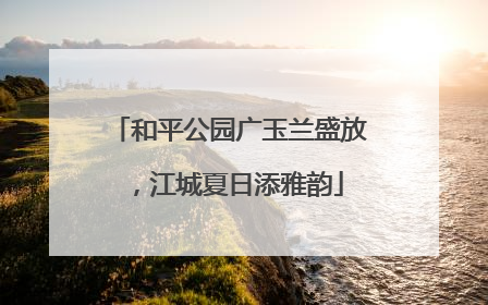 和平公园广玉兰盛放，江城夏日添雅韵