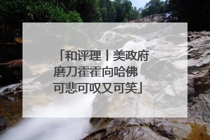 和评理丨美政府磨刀霍霍向哈佛 可悲可叹又可笑