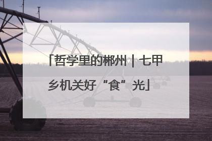 哲学里的郴州｜七甲乡机关好“食”光