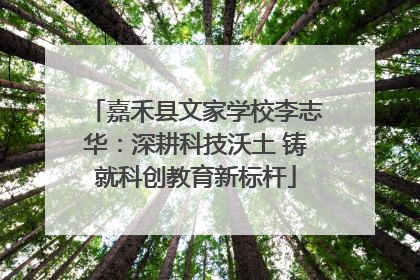 嘉禾县文家学校李志华：深耕科技沃土 铸就科创教育新标杆