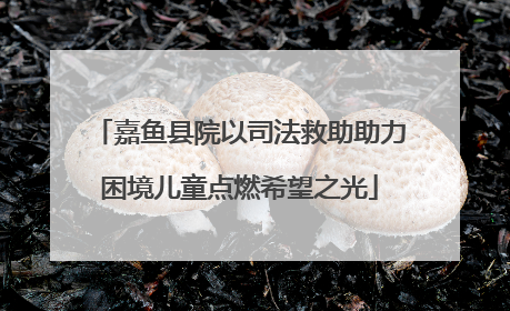嘉鱼县院以司法救助助力困境儿童点燃希望之光