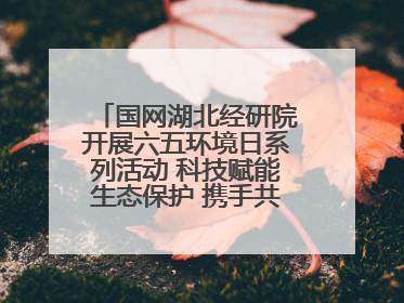 国网湖北经研院开展六五环境日系列活动 科技赋能生态保护 携手共建绿色电网