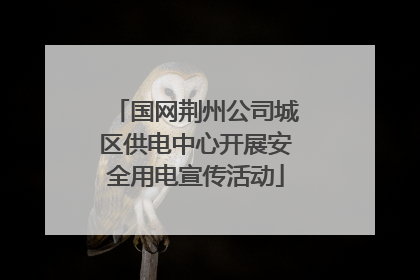 国网荆州公司城区供电中心开展安全用电宣传活动