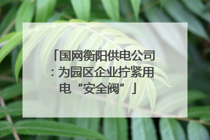 国网衡阳供电公司：为园区企业拧紧用电“安全阀”