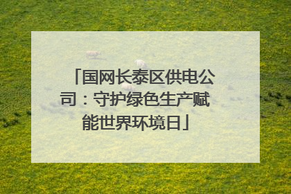 国网长泰区供电公司：守护绿色生产赋能世界环境日
