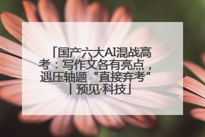 国产六大AI混战高考：写作文各有亮点，遇压轴题“直接弃考”丨预见·科技