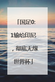 国足0:1输给印尼，彻底无缘世界杯
