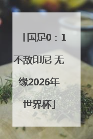 国足0：1不敌印尼 无缘2026年世界杯