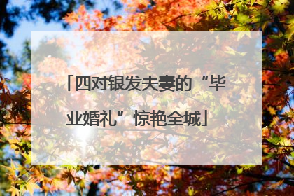 四对银发夫妻的“毕业婚礼”惊艳全城