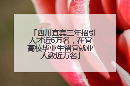 四川宜宾三年招引人才近6万名，在宜高校毕业生留宜就业人数近万名