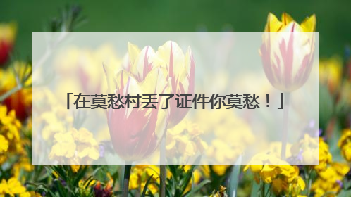 在莫愁村丢了证件你莫愁！