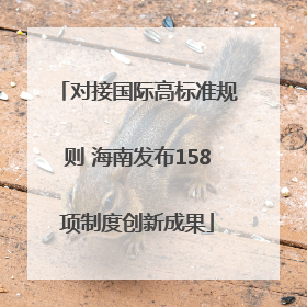 对接国际高标准规则 海南发布158项制度创新成果