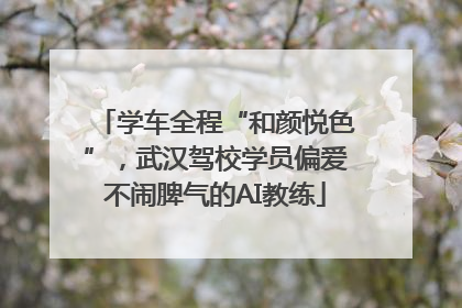 学车全程“和颜悦色”，武汉驾校学员偏爱不闹脾气的AI教练