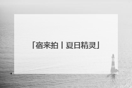 宿来拍丨夏日精灵