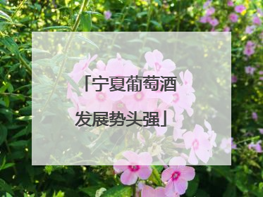 宁夏葡萄酒发展势头强