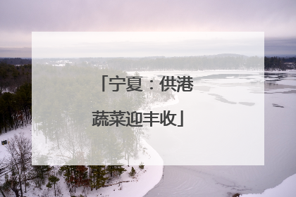 宁夏：供港蔬菜迎丰收