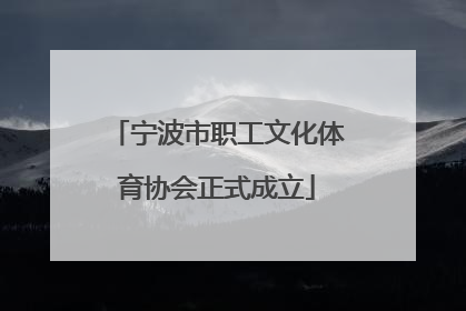 宁波市职工文化体育协会正式成立