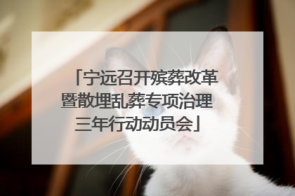 宁远召开殡葬改革暨散埋乱葬专项治理三年行动动员会