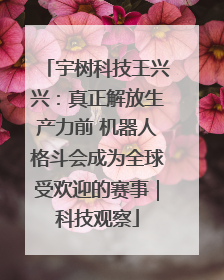 宇树科技王兴兴：真正解放生产力前 机器人格斗会成为全球受欢迎的赛事｜科技观察