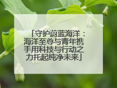 守护蔚蓝海洋：海洋至尊与青年携手用科技与行动之力托起纯净未来